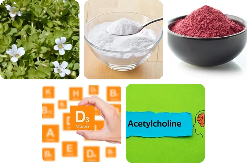 Neuro-Thrive ingredients
