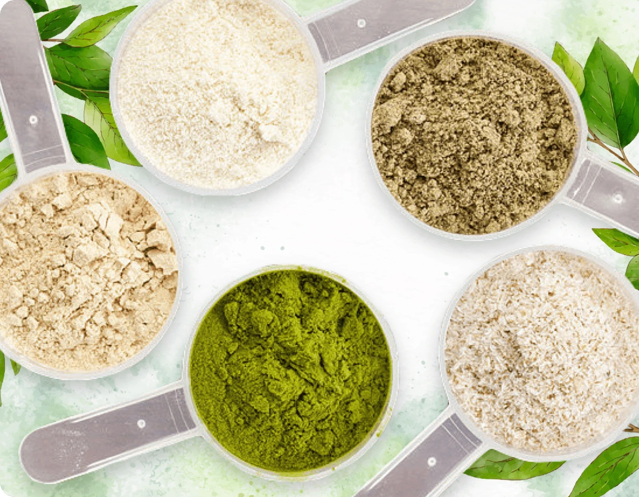 ProDentim ingredients
